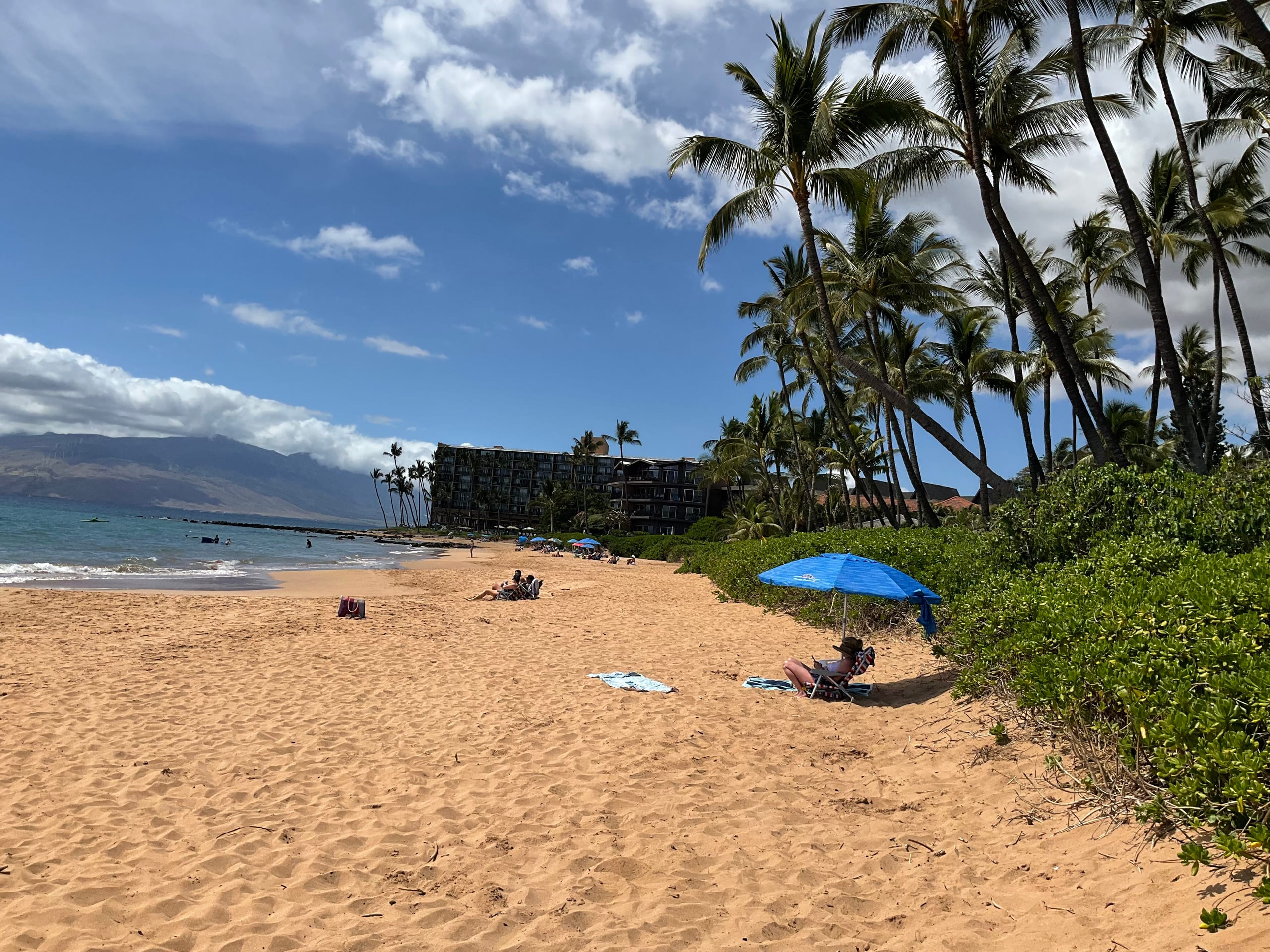 South Maui Oceanview Solo Cottage - Photo 160