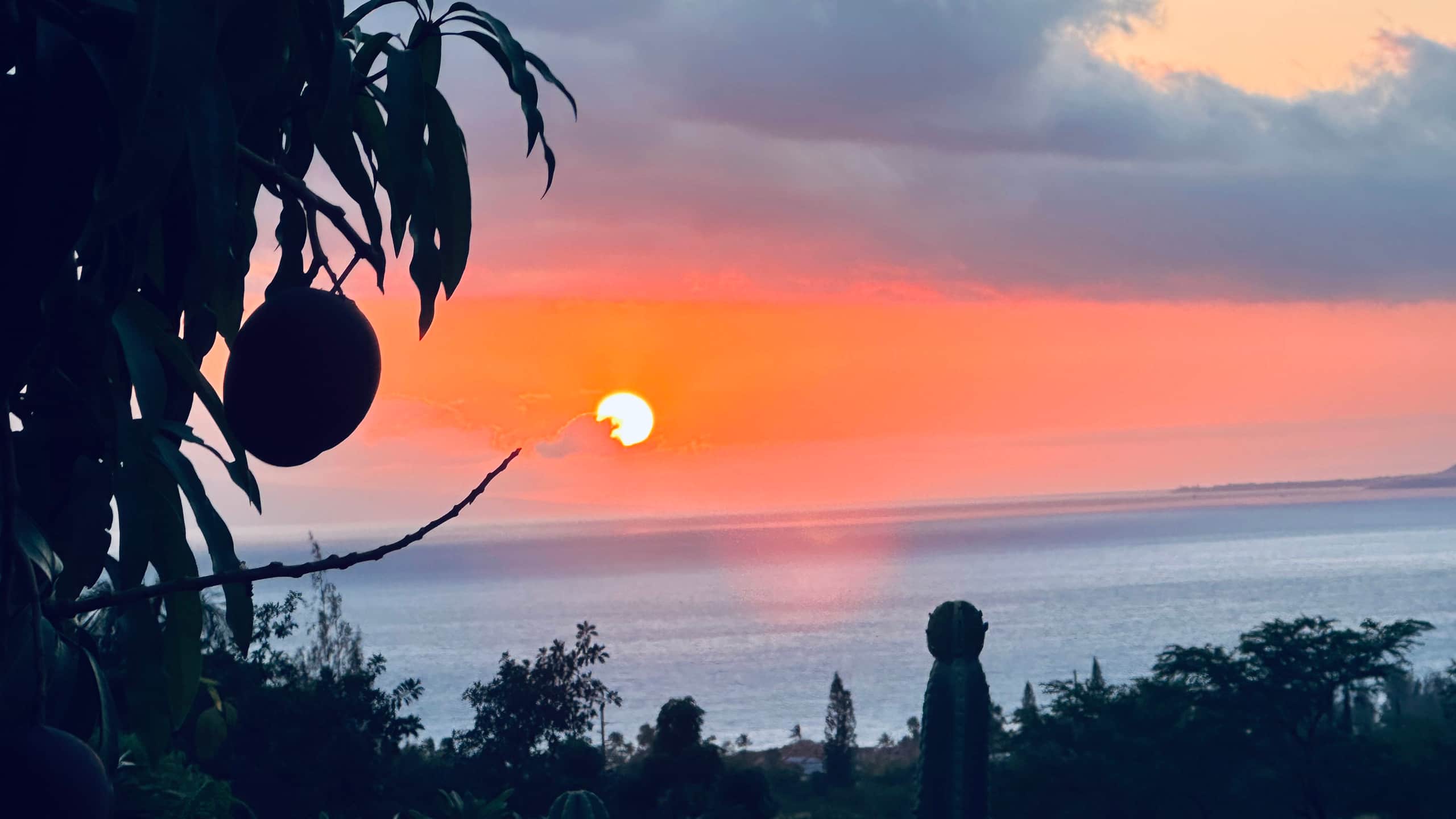 South Maui Oceanview Solo Cottage - Photo 188