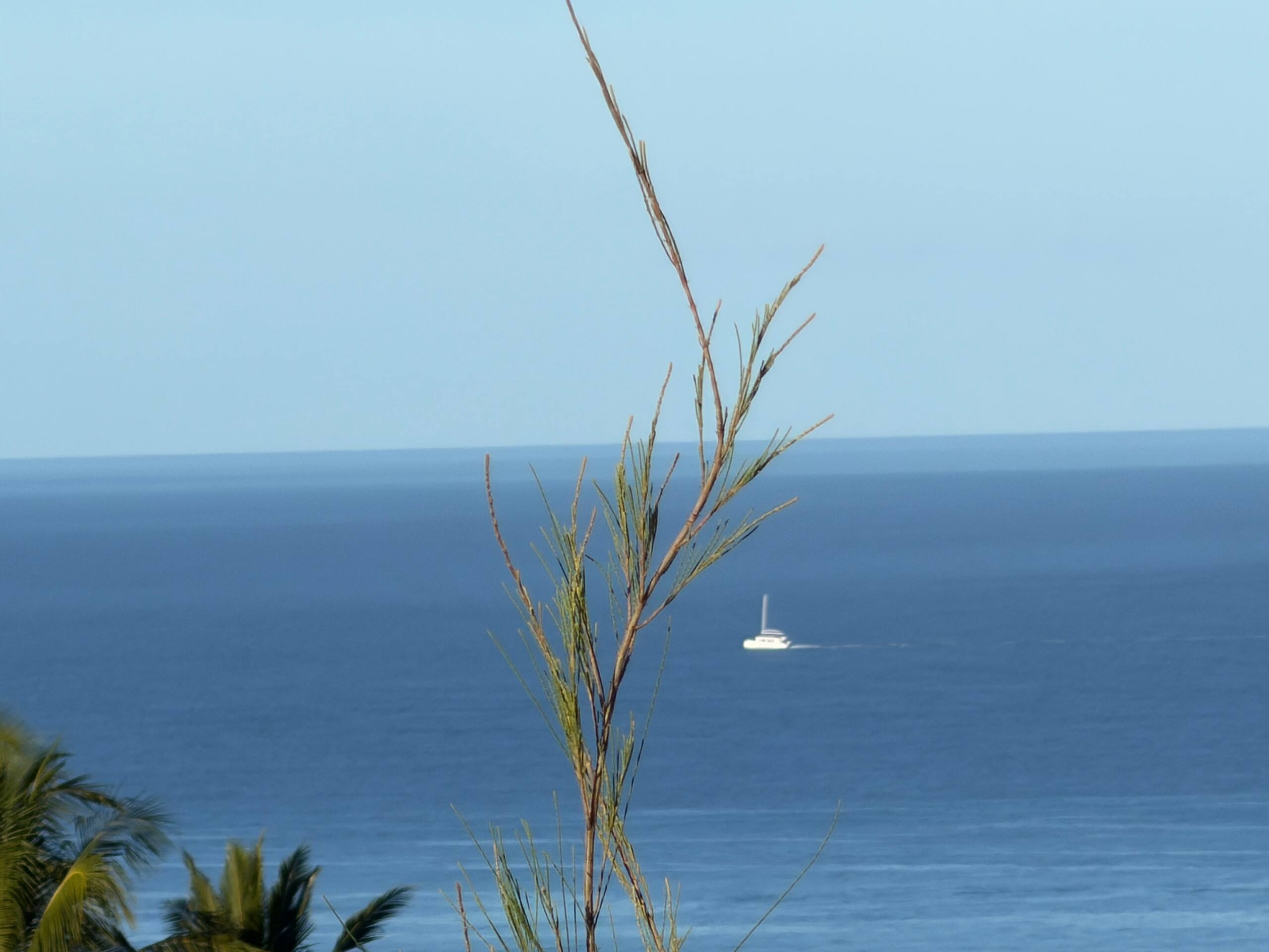 South Maui Oceanview Solo Cottage - Photo 205