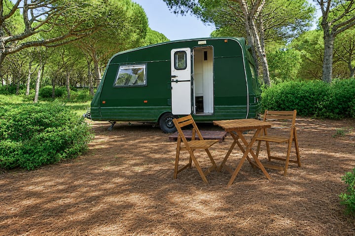The Badger Caravan, A Perfect Escape To Nature - Sesimbra