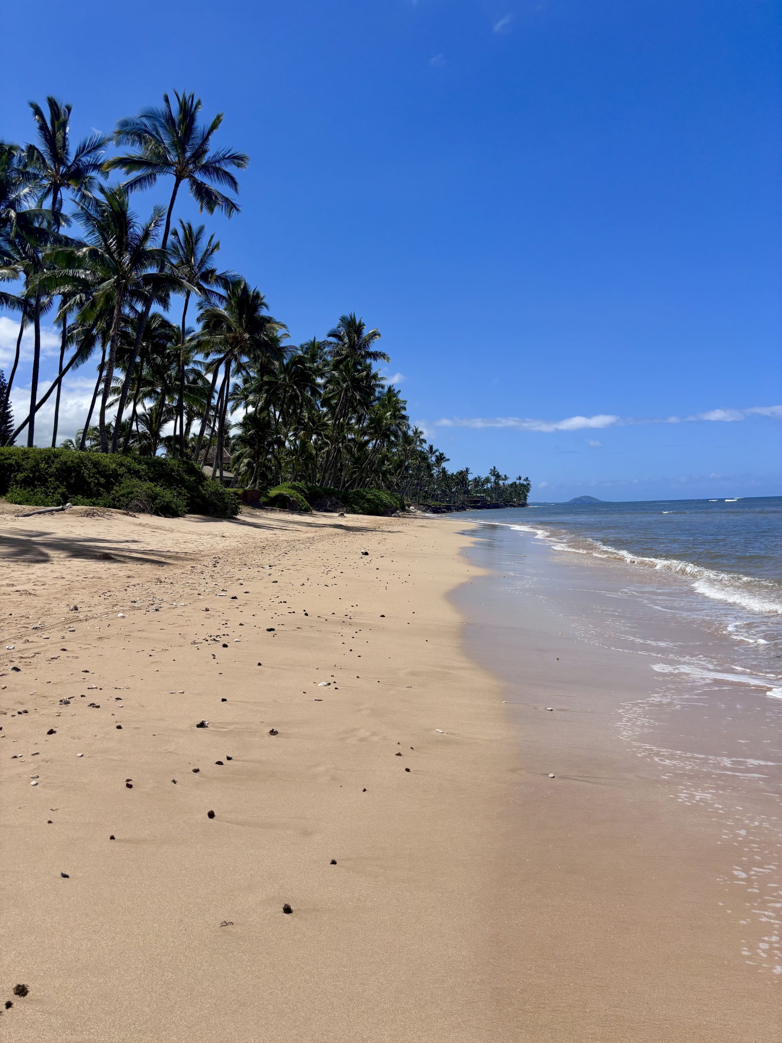 Condo in Kihei · ★4.61 · 2 bedrooms · 4 beds · 2 private baths - Image 6