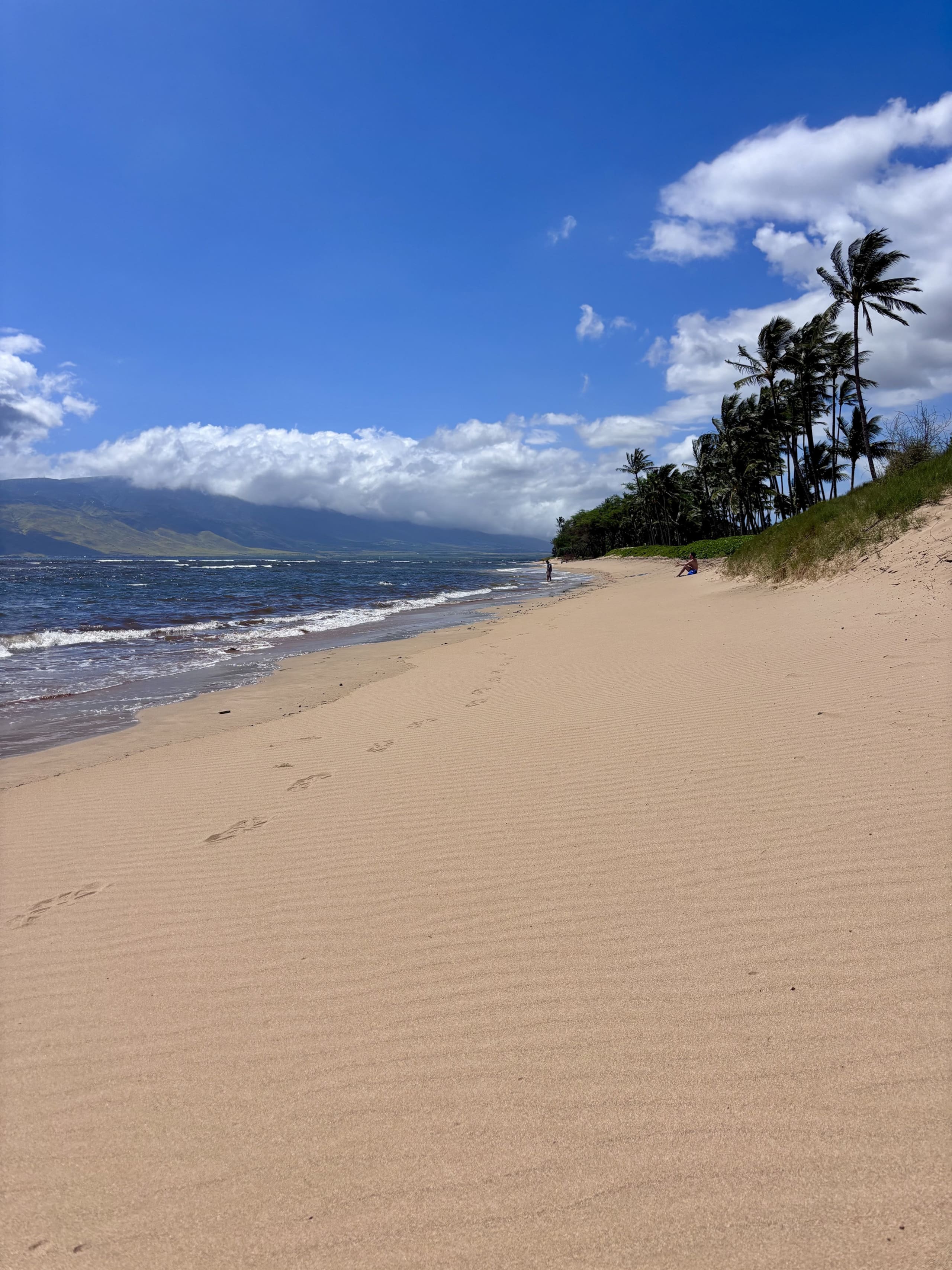 Condo in Kihei · ★4.61 · 2 bedrooms · 4 beds · 2 private baths - Image 7