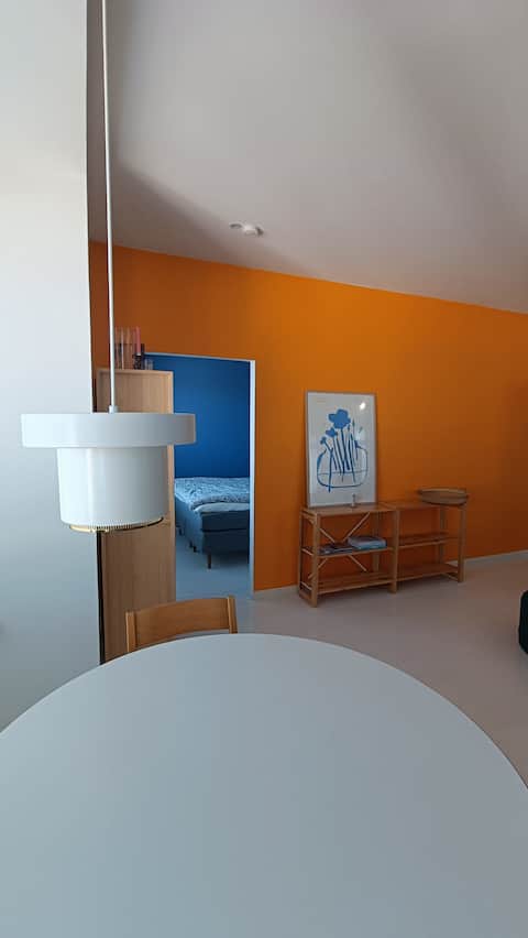 Bright downtown two-room apartment (loft)