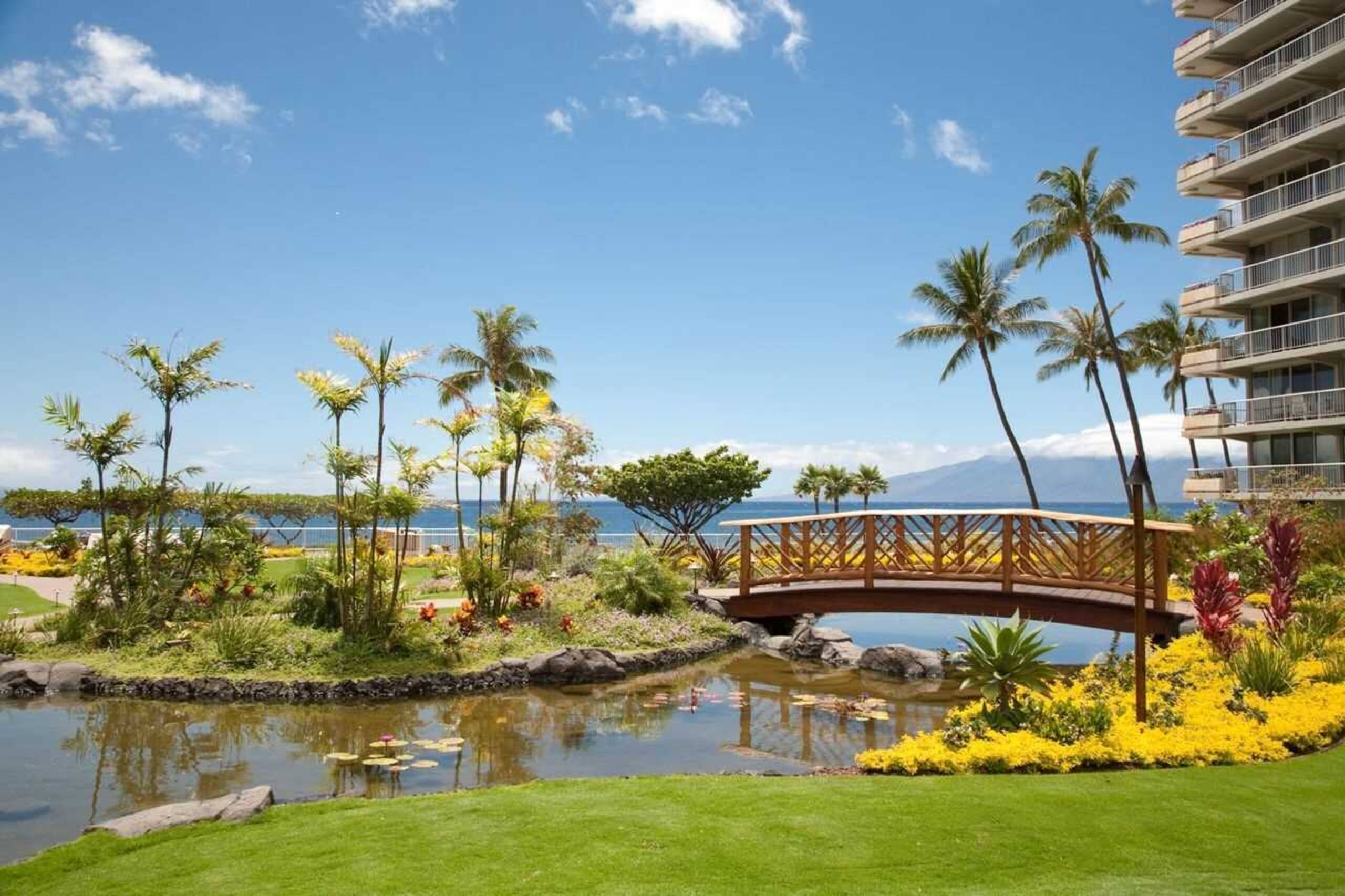 Condo in Lahaina · ★5.0 · 1 bedroom · 1 bed · 1 private bath - Image 7