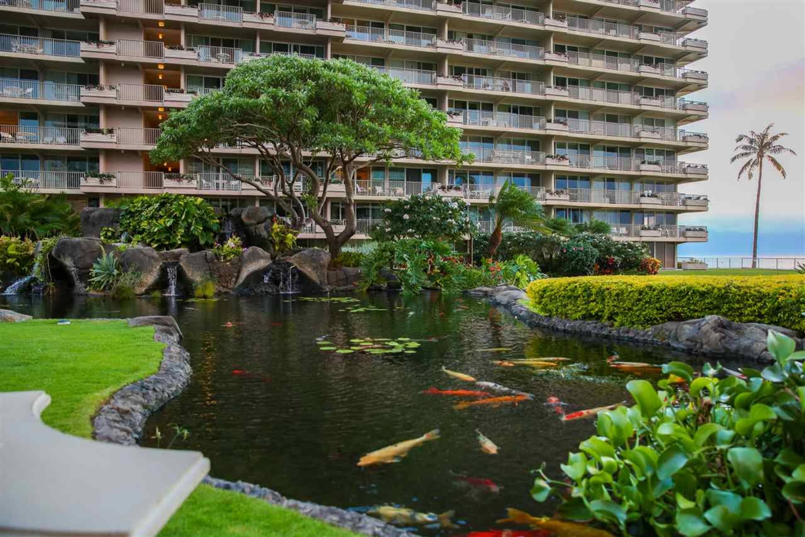 Condo in Lahaina · ★5.0 · 1 bedroom · 1 bed · 1 private bath - Image 10