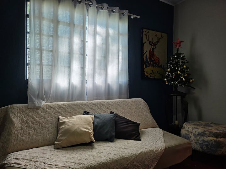 غرفة المعيشة في بيت الضيوف الصغير الخاص بنا. سرير أريكة، 2 نفخة، كرسي واحد.