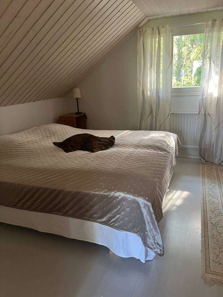 Habitación 1