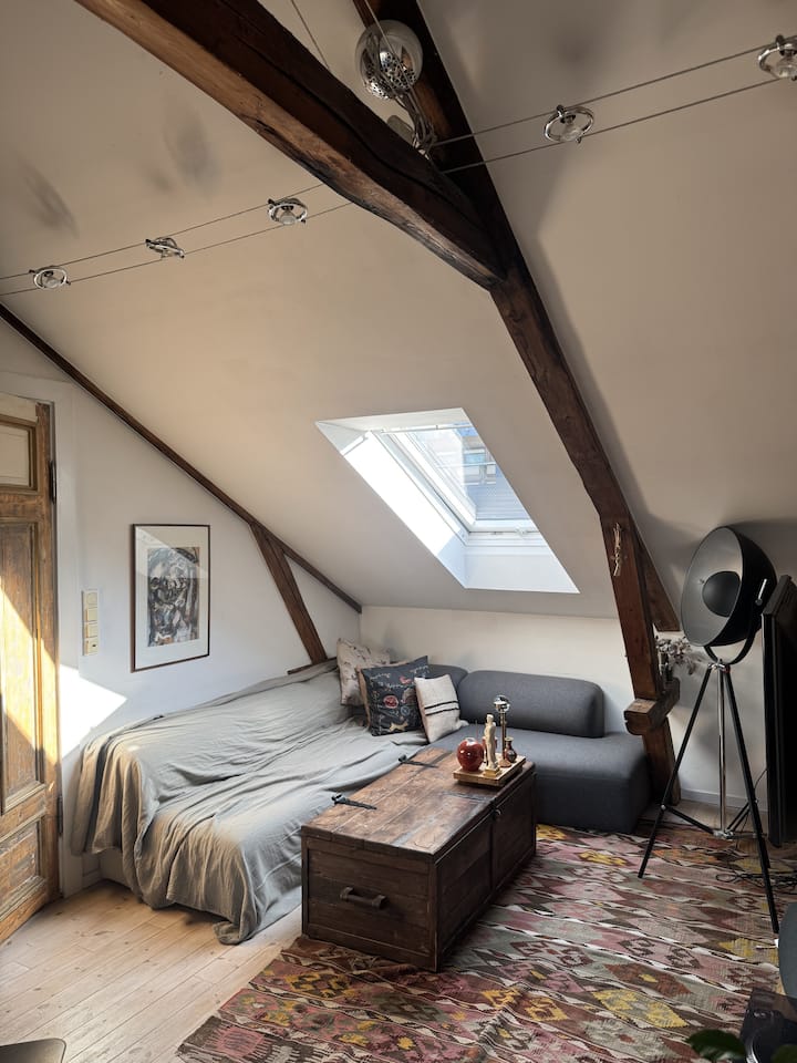 Cosy Loft In The Heart Of Oslo - Oslo