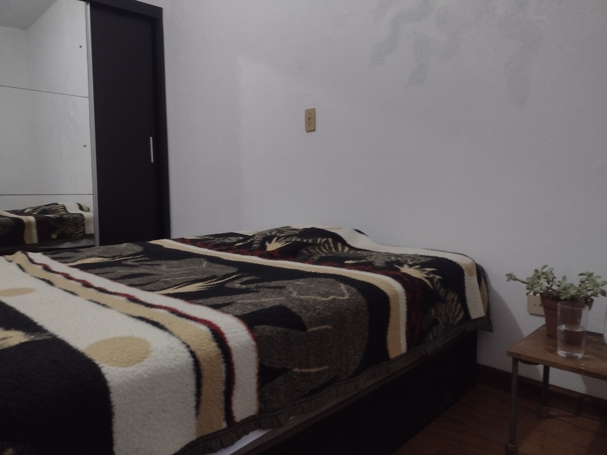 A comfortable sleeping area is showcased, featuring a spacious bed adorned with a patterned blanket. A small wooden table holds a plant and a glass of water beside the bed. A mirrored wardrobe is positioned against the wall, enhancing the room's openness.