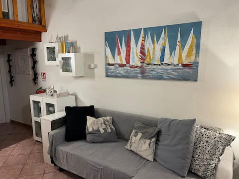 Proprietà Airbnb di successo: Beautiful house in central position with garden a San Teodoro