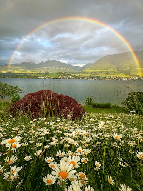 Villa Wilen - Top views, Lake Access, Luxurious