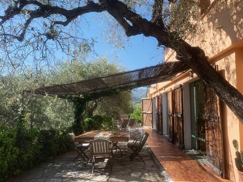 Proprietà Airbnb di successo: NISSO by Interhome a Dolcedo