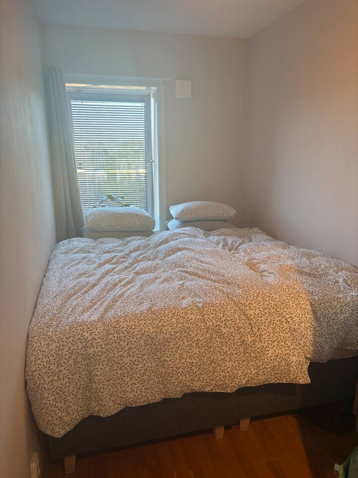 Habitación 1