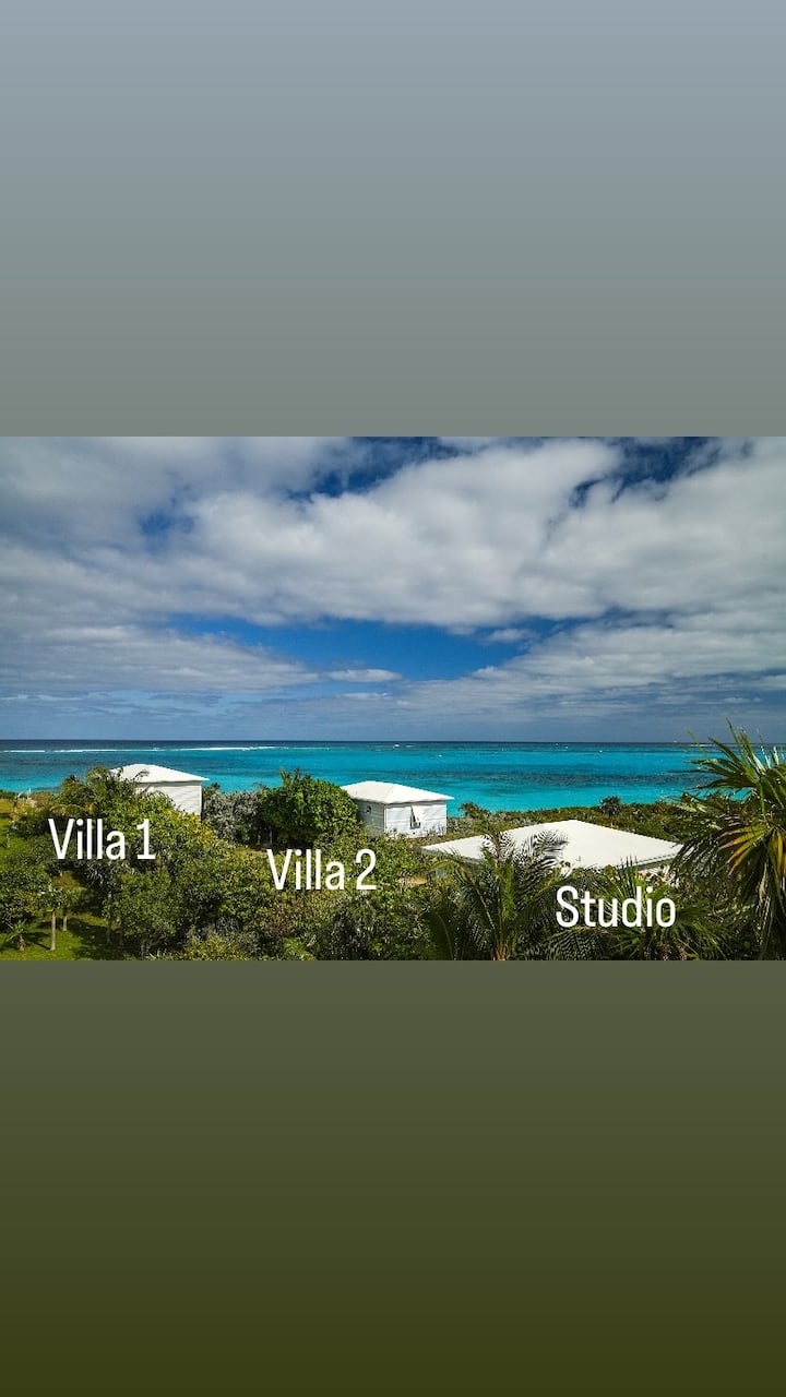 Tarta tocinillo de cielo de la abuela portuguesa (y 6 trucos para que te  salga de 10), image size:720x1280