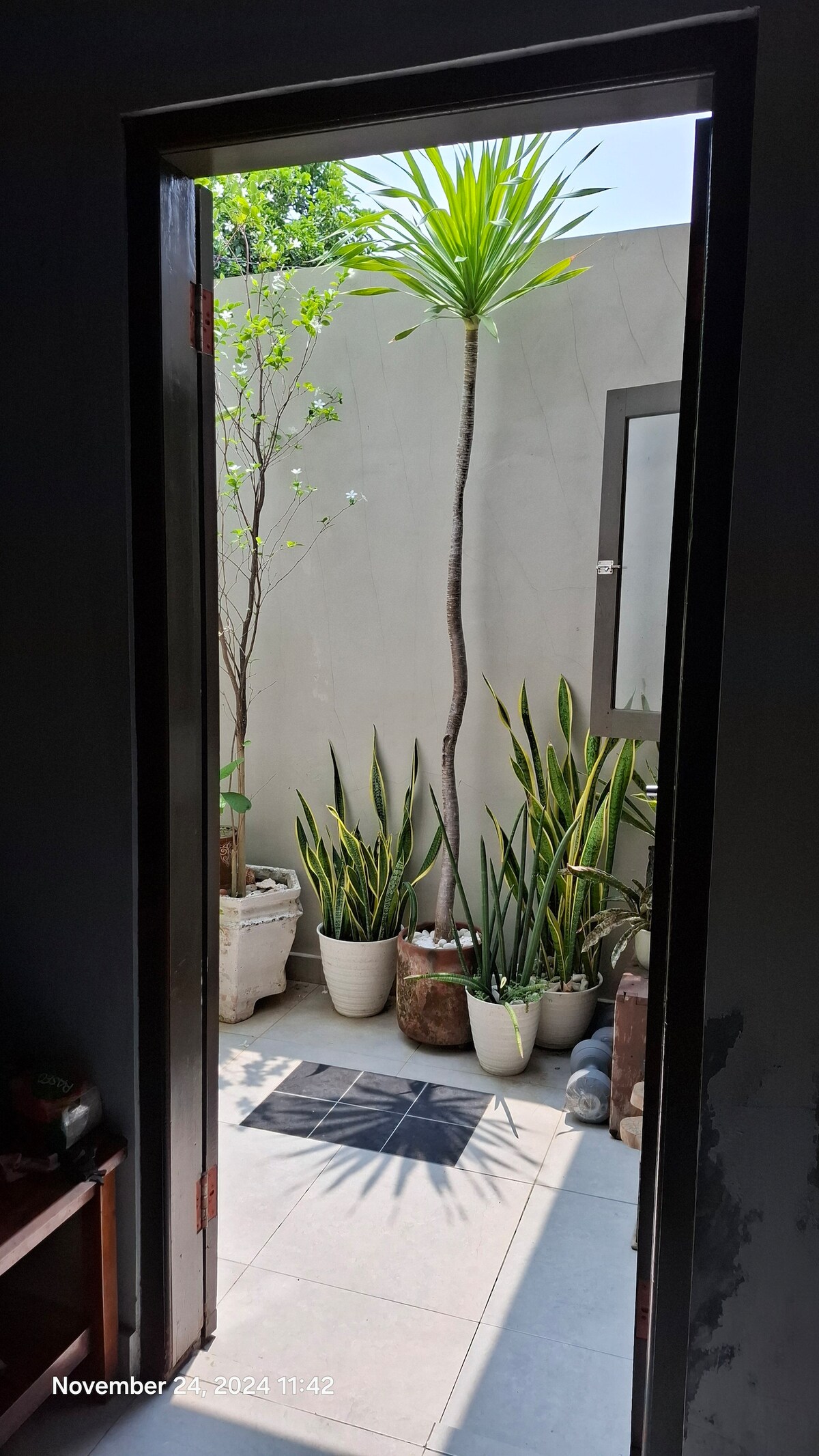 An entrance doorway opens to a sunny courtyard. Potted plants, including tall palms and snake plants, create a natural ambiance against the textured wall. Bright light filters in, highlighting the clean tile flooring and offering a glimpse of the peaceful outdoor space.