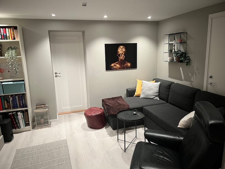 ห้องนั่งเล่นชั้นใต้ดินพร้อมเตียงโซฟา (นอนได้ 2 คน) และเข้าถึงห้องน้ำได้โดยตรง 2. 