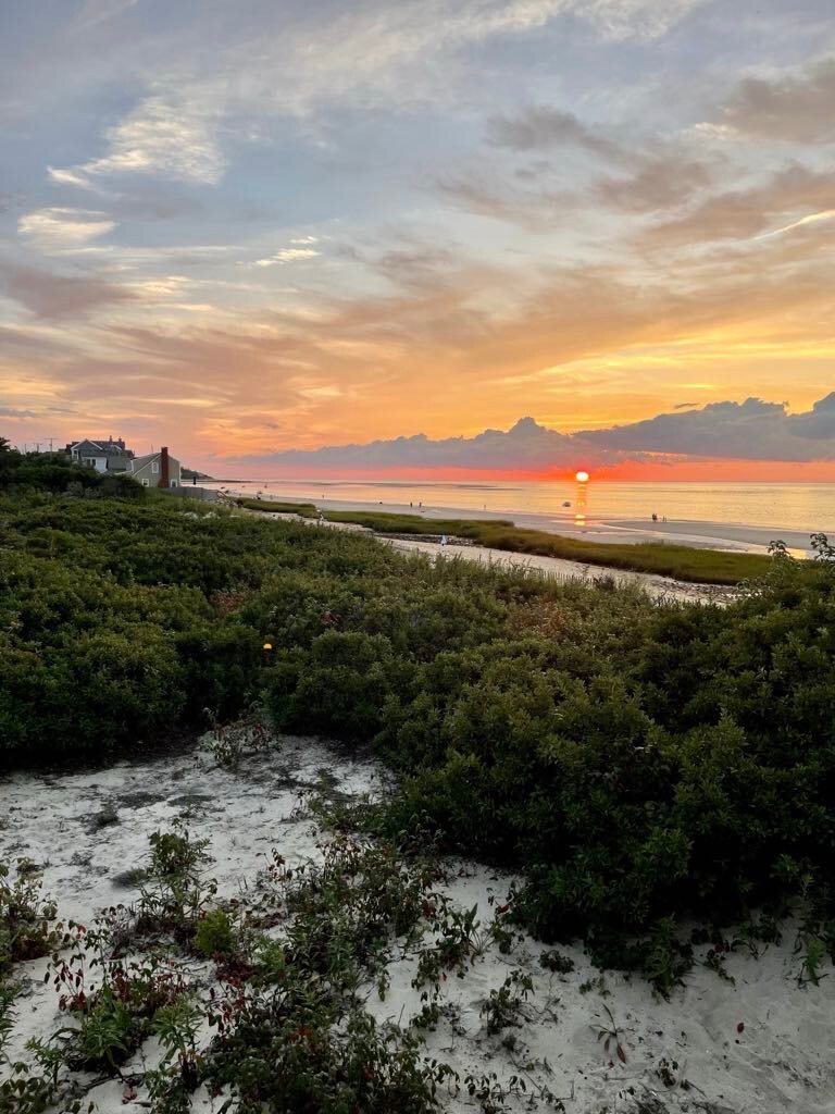 A serene beach scene captures a setting sun casting warm hues across the sky. Soft waves lap against a sandy shore, bordered by lush greenery. The tranquil atmosphere is enhanced by distant figures strolling along the water's edge, inviting relaxation and enjoyment.
