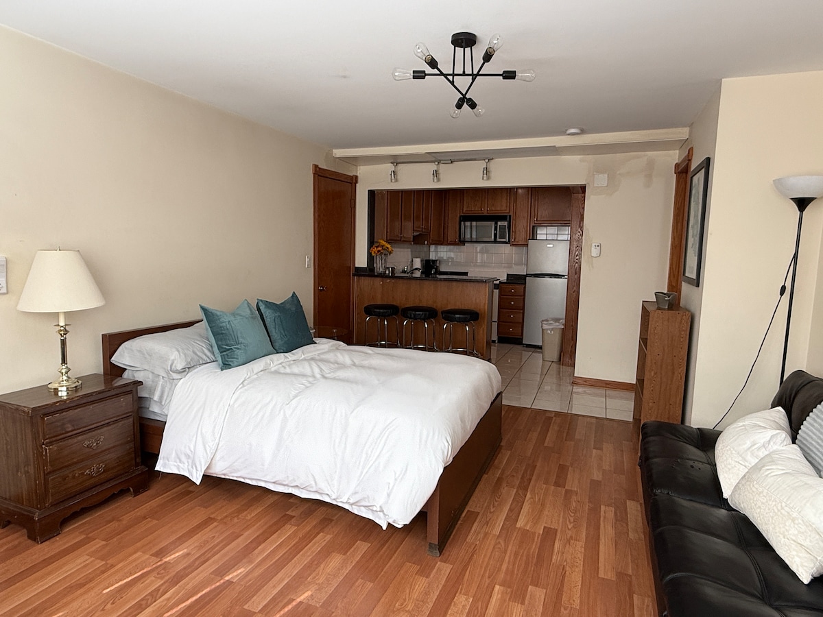 A spacious studio apartment is shown, featuring a double bed with a white comforter and decorative teal pillows. A dark wood nightstand is positioned beside the bed. A modern kitchen with premium appliances is visible in the background, along with a leather euro-lounger sofa and a floor lamp.