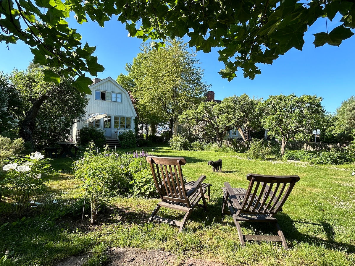 A spacious garden is shown, featuring wooden lounge chairs positioned on a grassy area. In the background, a charming house is surrounded by various trees and greenery. A dog can be seen playing in the garden under a clear blue sky.