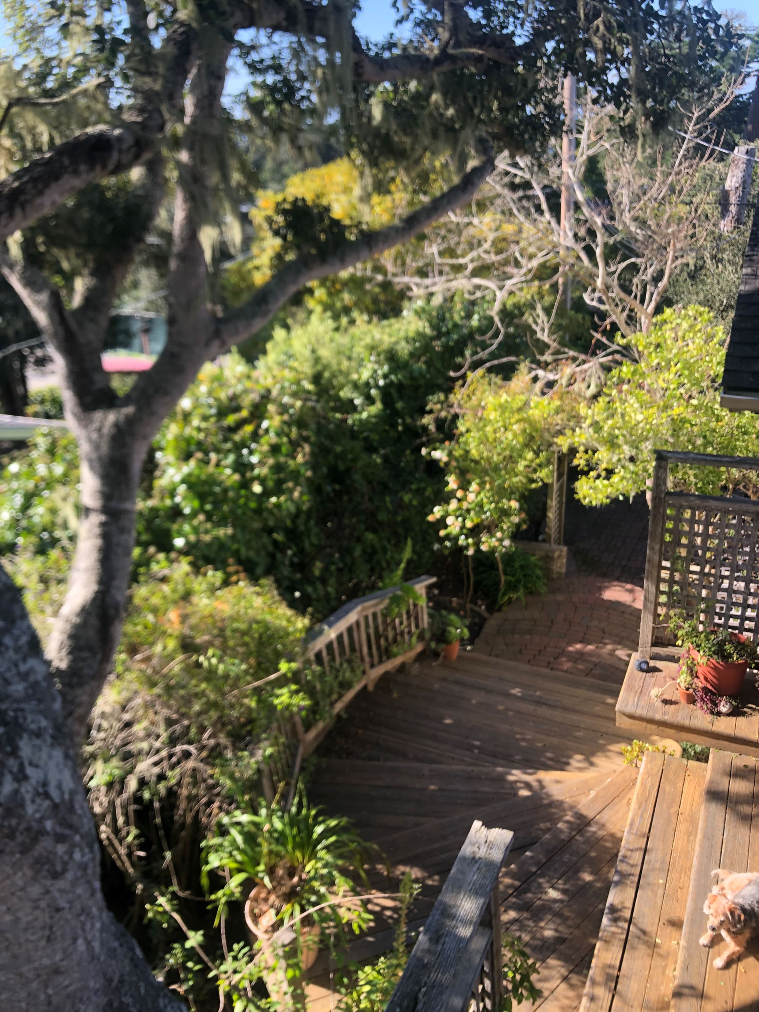 Charming Treehouse-Style Home Near Carmel - Photo 66