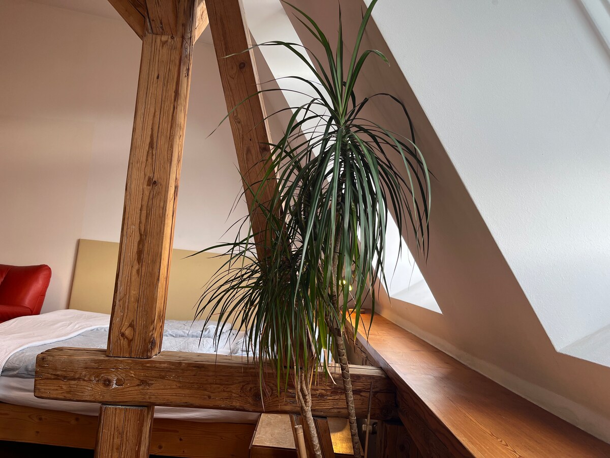 Spacious loft | 3 minute walk to Oktoberfest