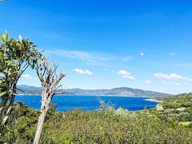 Guest favorite listing in Capoliveri