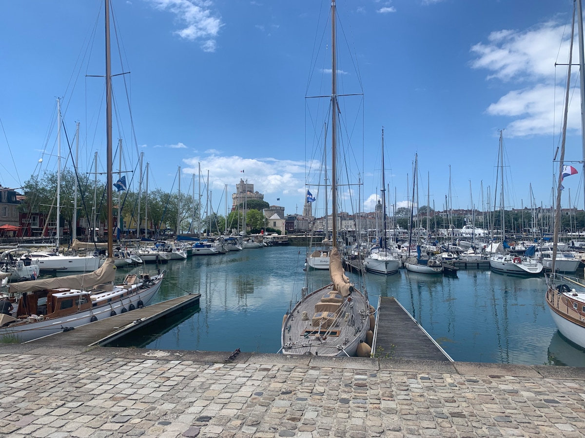 A marina is depicted with numerous sailboats docked along wooden pilings. Lush trees line the waterfront, and a historic building can be seen in the background. The sky is bright with scattered clouds, reflecting off the serene water.