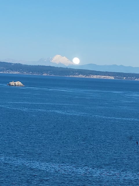 Amazing! Puget Sound Waterfront  Home  - Views!