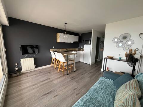 Propriété Airbnb réussie: Pleasant apartment facing the sea à Canet En Roussillon
