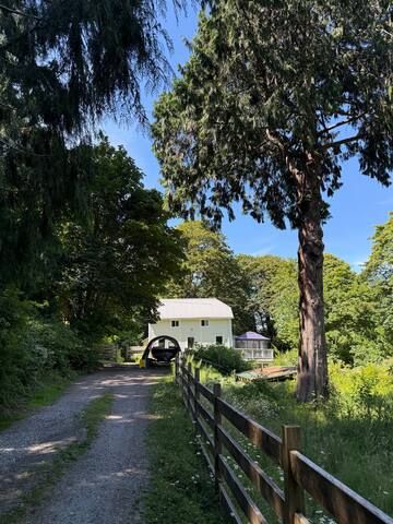 The Old Creamery: family friendly farm house gallery image 5