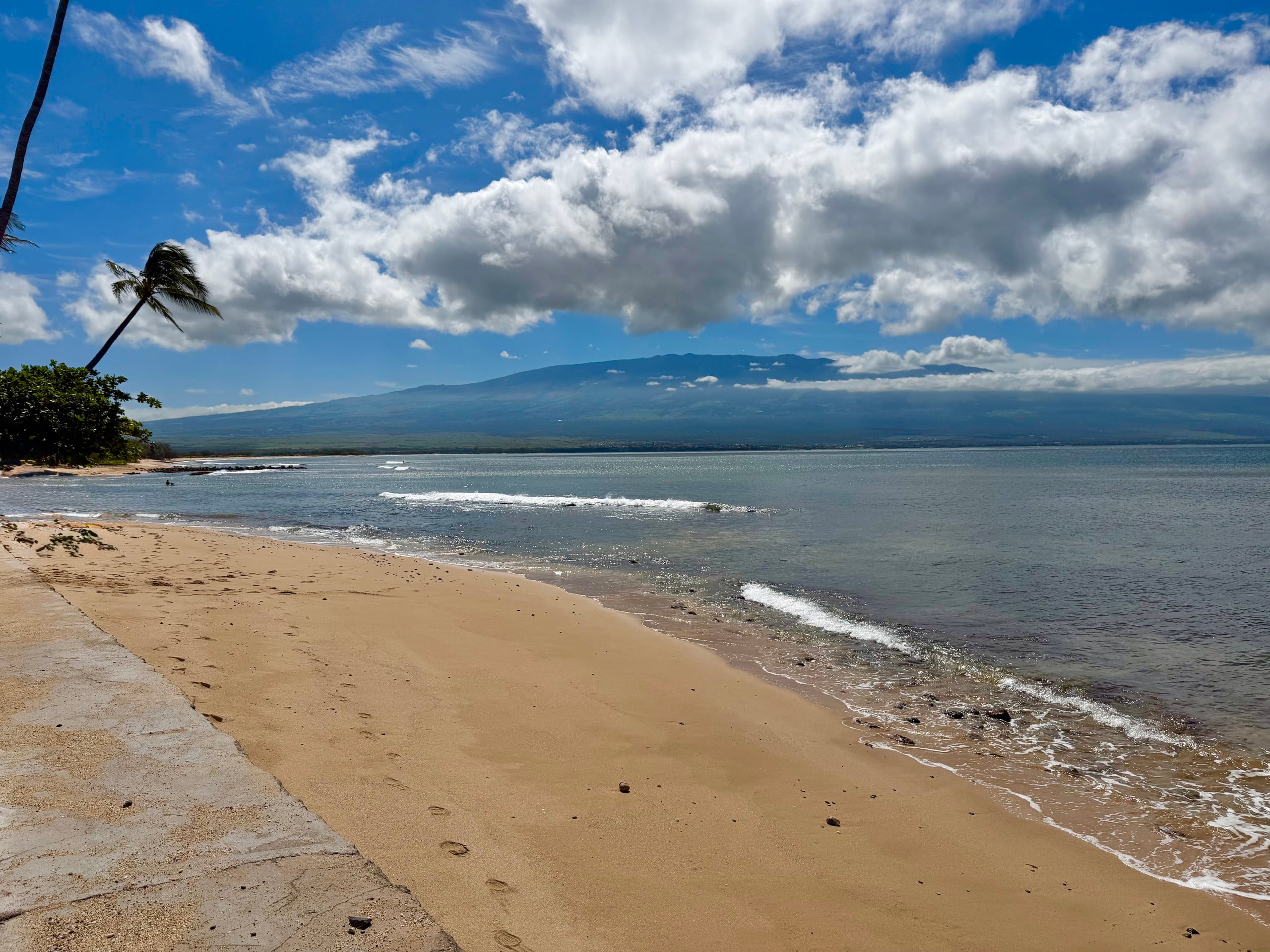 Condo in Wailuku · ★4.91 · 1 bedroom · 1 bed · 1 private bath - Image 14