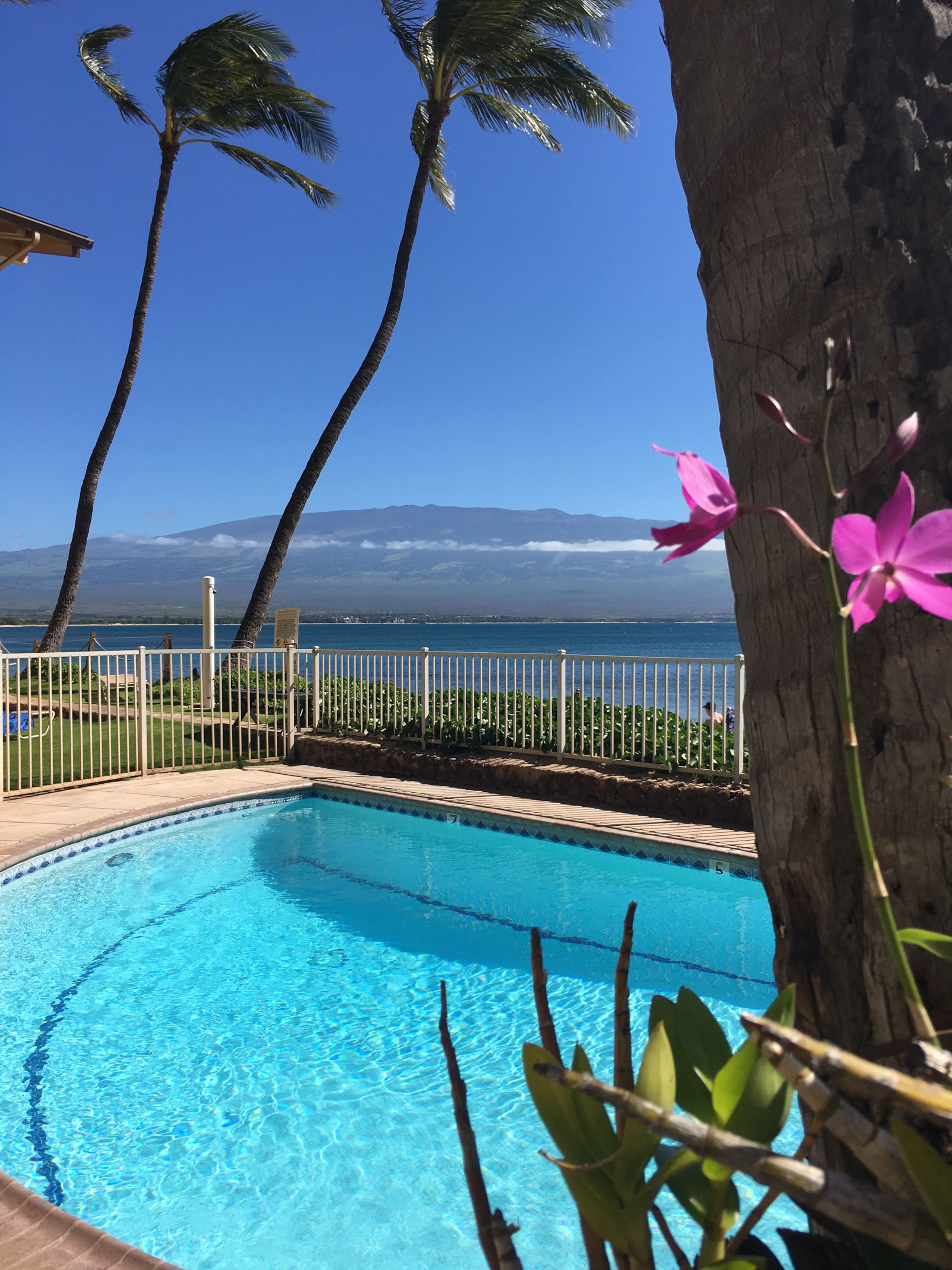 Condo in Wailuku · ★4.91 · 1 bedroom · 1 bed · 1 private bath - Image 17