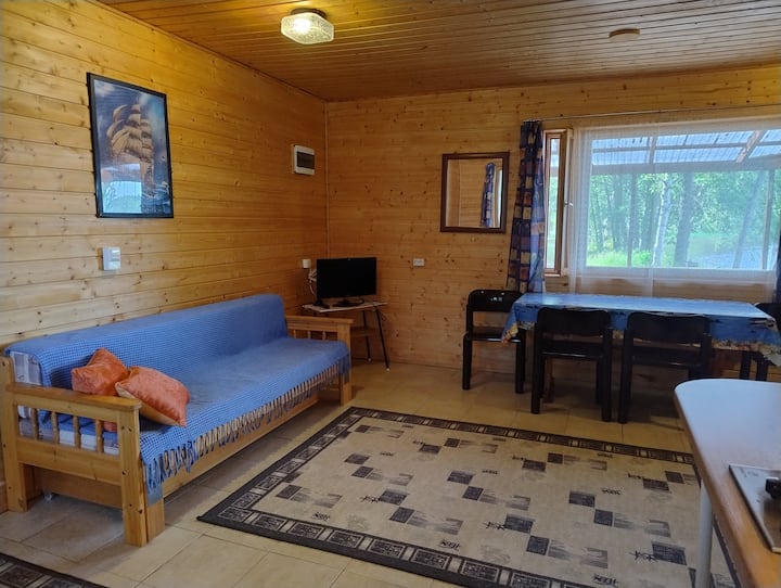 Коттедж с камином - Savonlinna