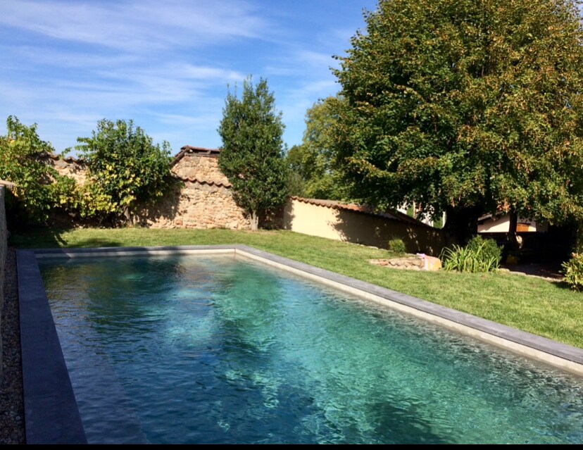 A serene swimming pool is surrounded by lush greenery and features a smooth stone border. The clear water reflects the sky above, while a wall made of natural stone and a few trees add to the peaceful atmosphere of the outdoor space.