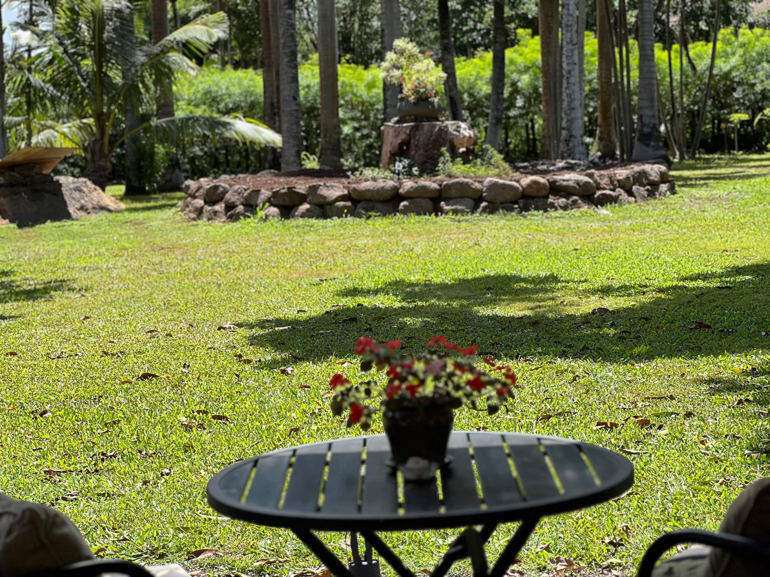 The Breezeway Studio- Breathe in and Enjoy Nature! - Photo 26