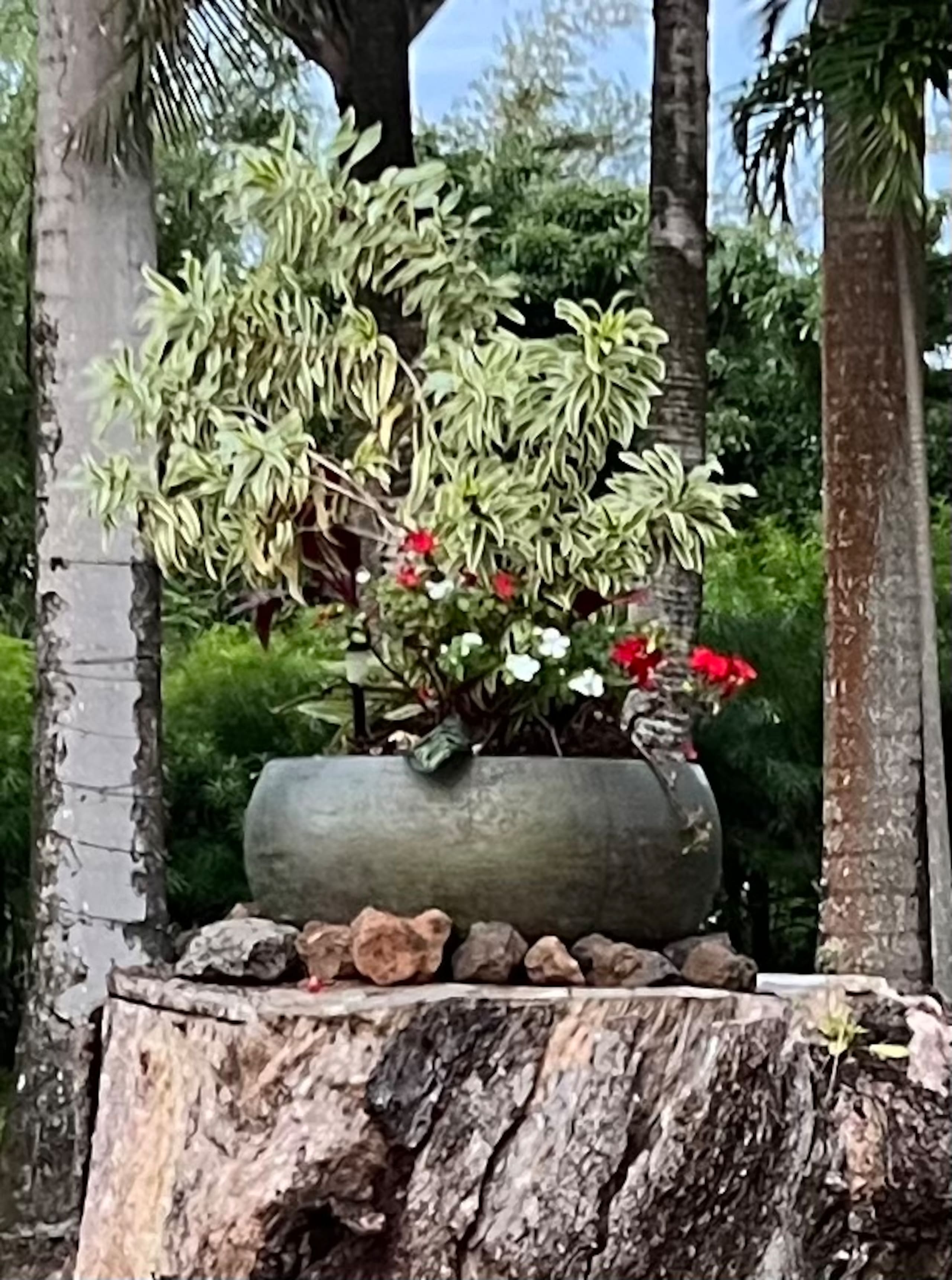 The Breezeway Studio- Breathe in and Enjoy Nature! - Photo 28