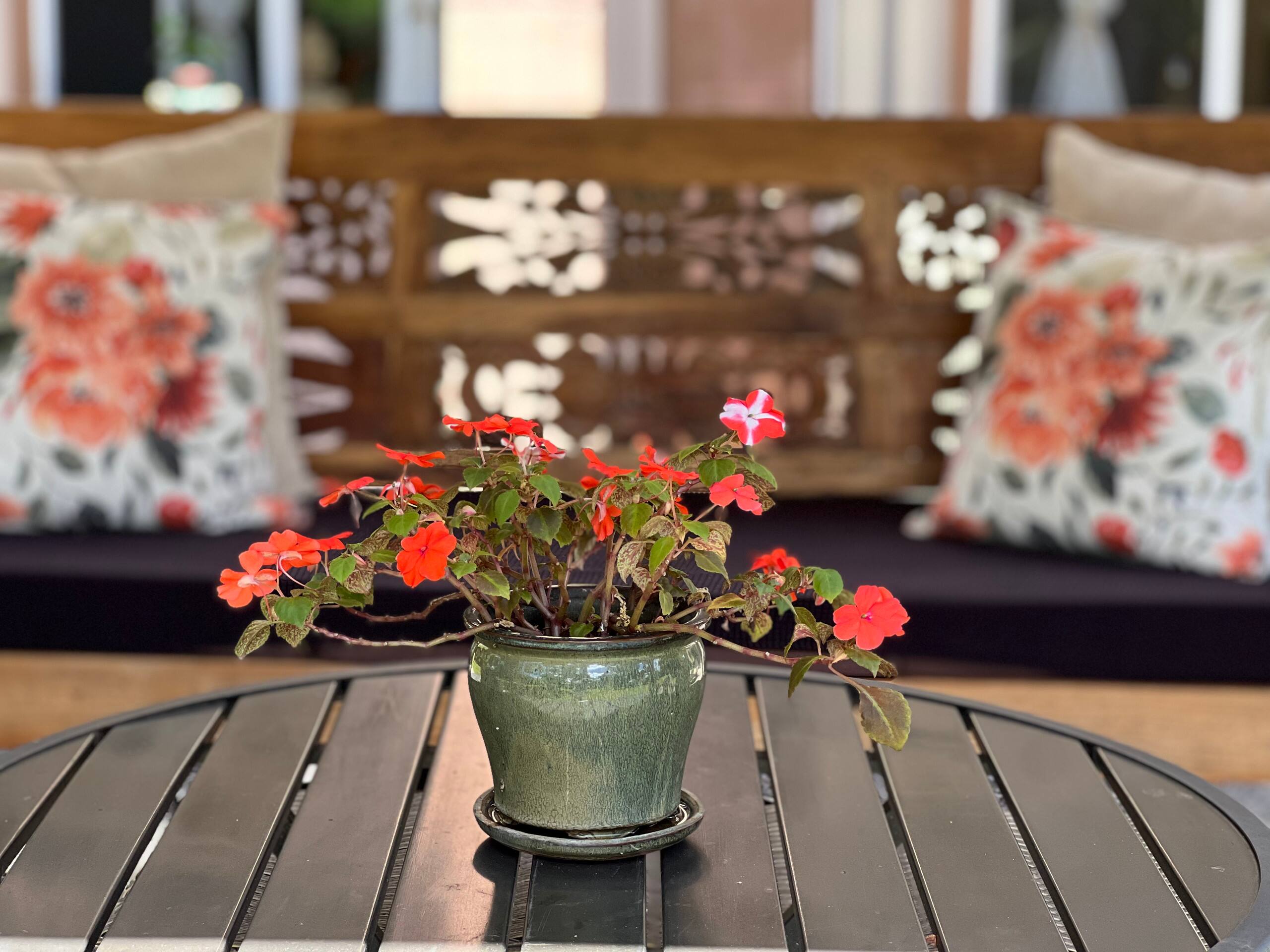 The Breezeway Studio- Breathe in and Enjoy Nature! - Photo 17