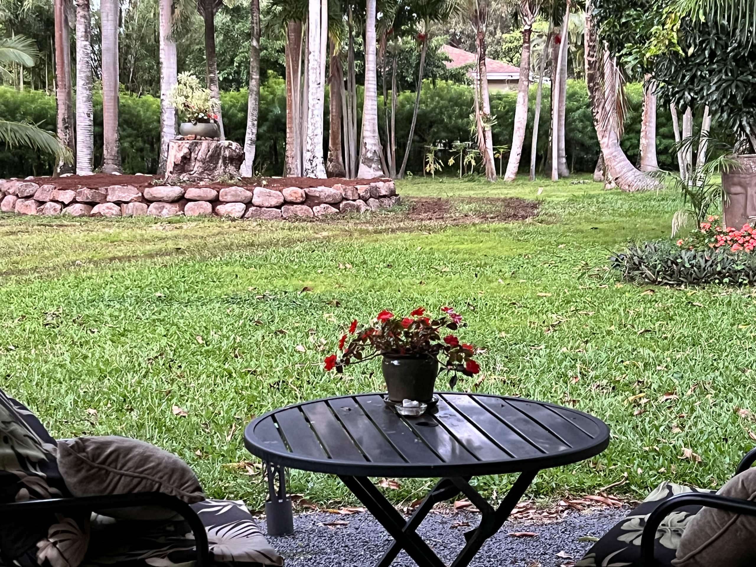 The Breezeway Studio- Breathe in and Enjoy Nature! - Photo 14