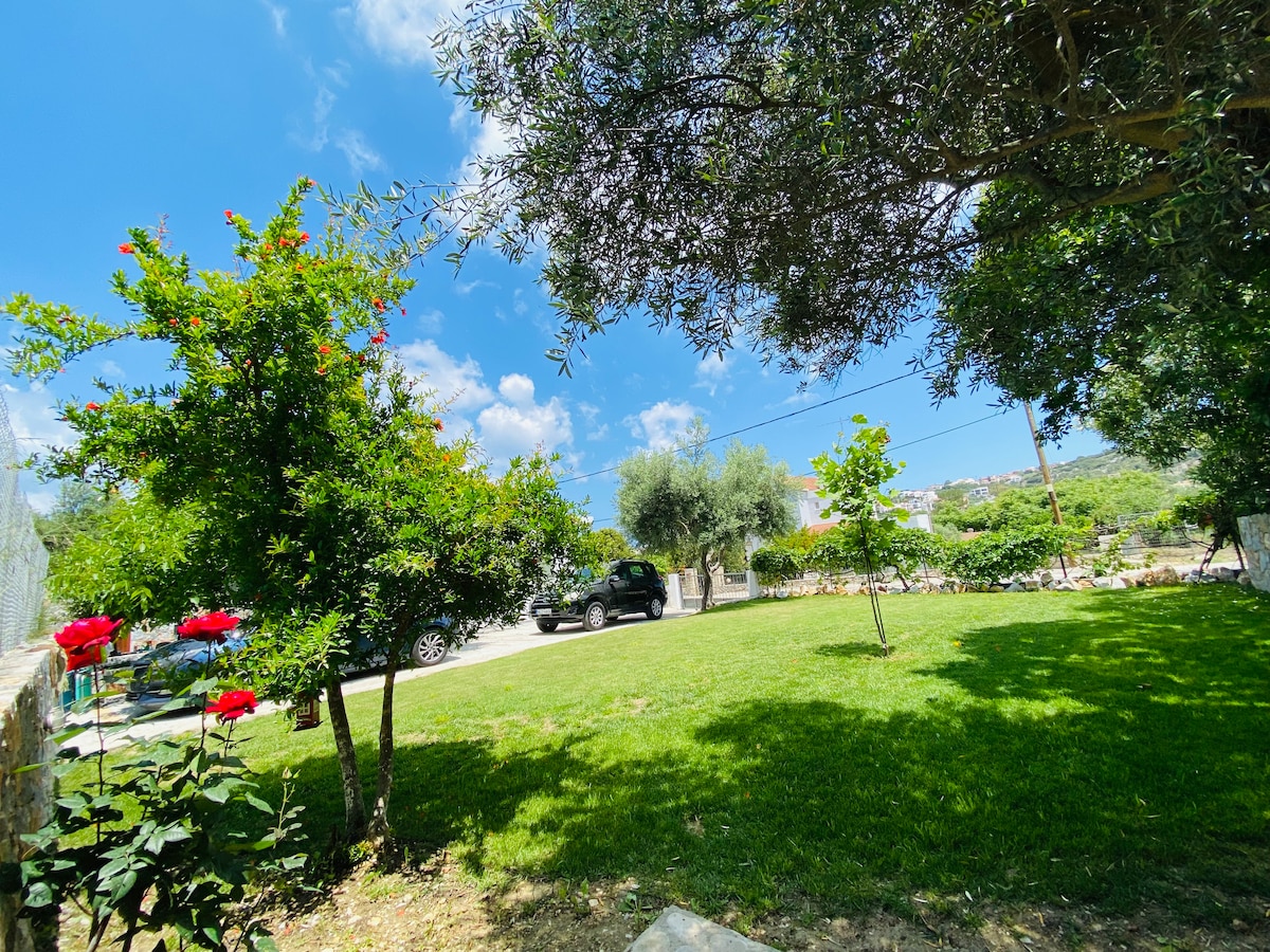 A spacious yard is framed by lush greenery, featuring vibrant red flowers and tall trees. A paved area is visible, where a vehicle is parked nearby. The clear blue sky fills the backdrop, highlighting the inviting outdoor space.