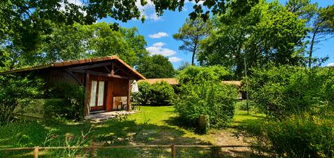 Chalet 5 - Quiet on the edge of the Ciron