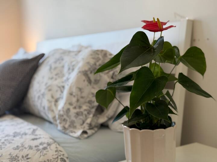 Habitación 2
