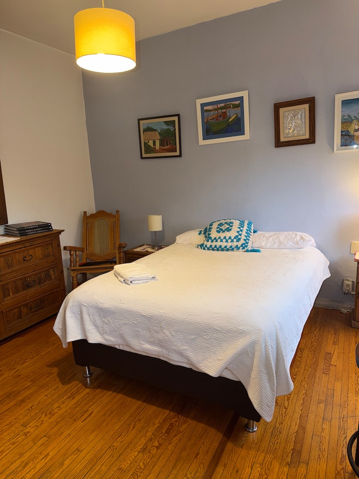 Wide, Comfy, Safe, Well Located Mini Studio. - メキシコシティ