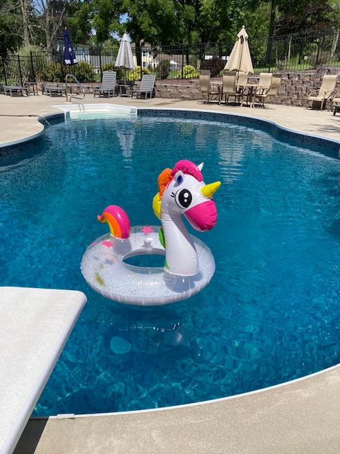 Sunset Beach on Seneca Lake
5BR Retreat Pool&Dock