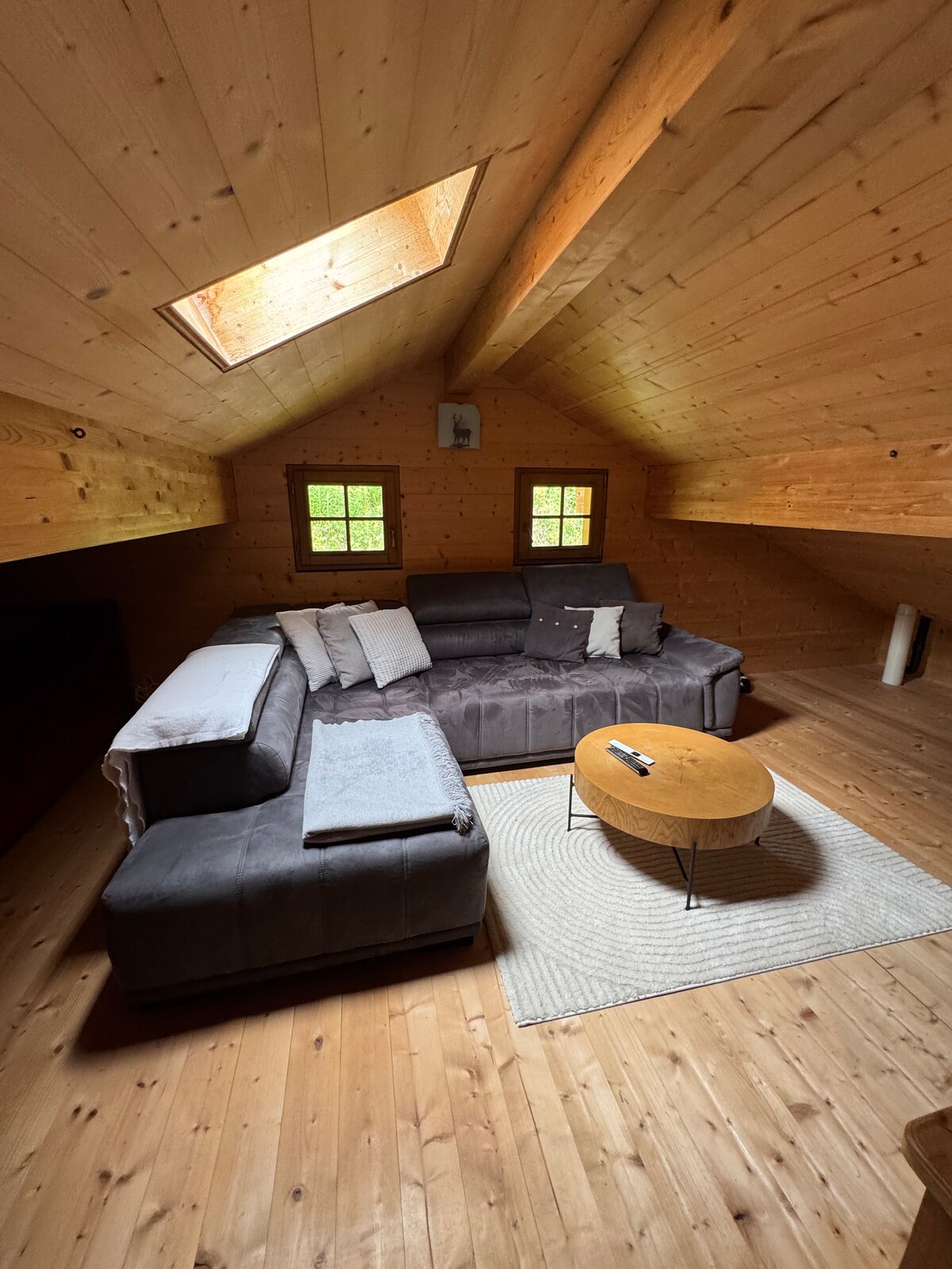 Top Airbnb: Family vacation cottage in Leysin