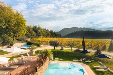 Romantic studio in the vineyards - Tullio