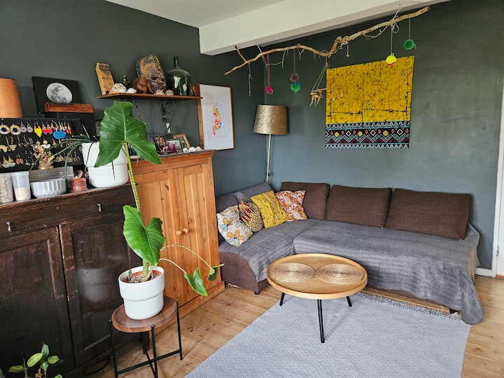 2 Bedroom Apartment In Brixton +2 Cats - London