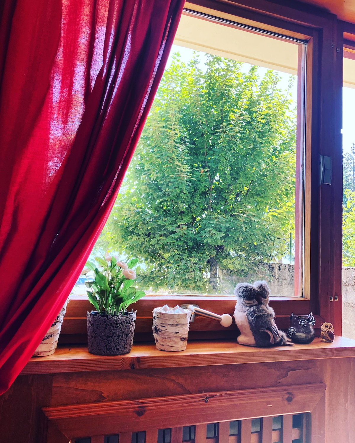 A window ledge is adorned with potted plants, including green foliage and flowers, complemented by decorative items. Sunlight filters through a vibrant red curtain, casting a warm glow on the wooden surface, while a lush tree is visible outside the window.