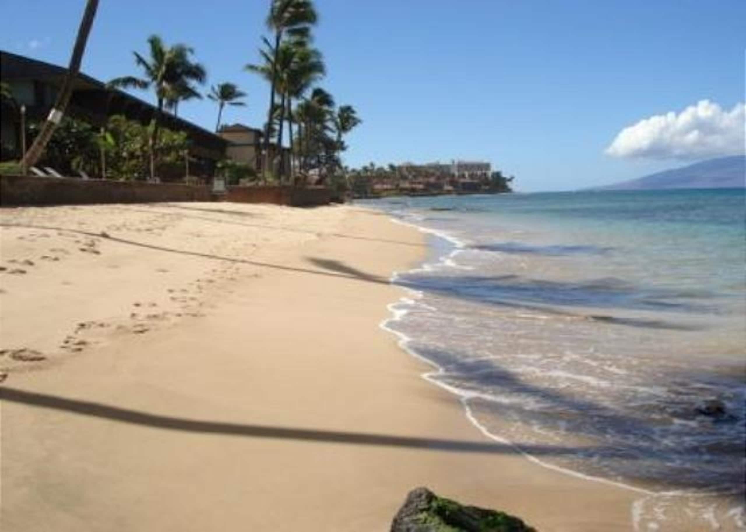Condo in Lahaina · ★4.85 · 1 bedroom · 1 bed · 1 bath - Image 29