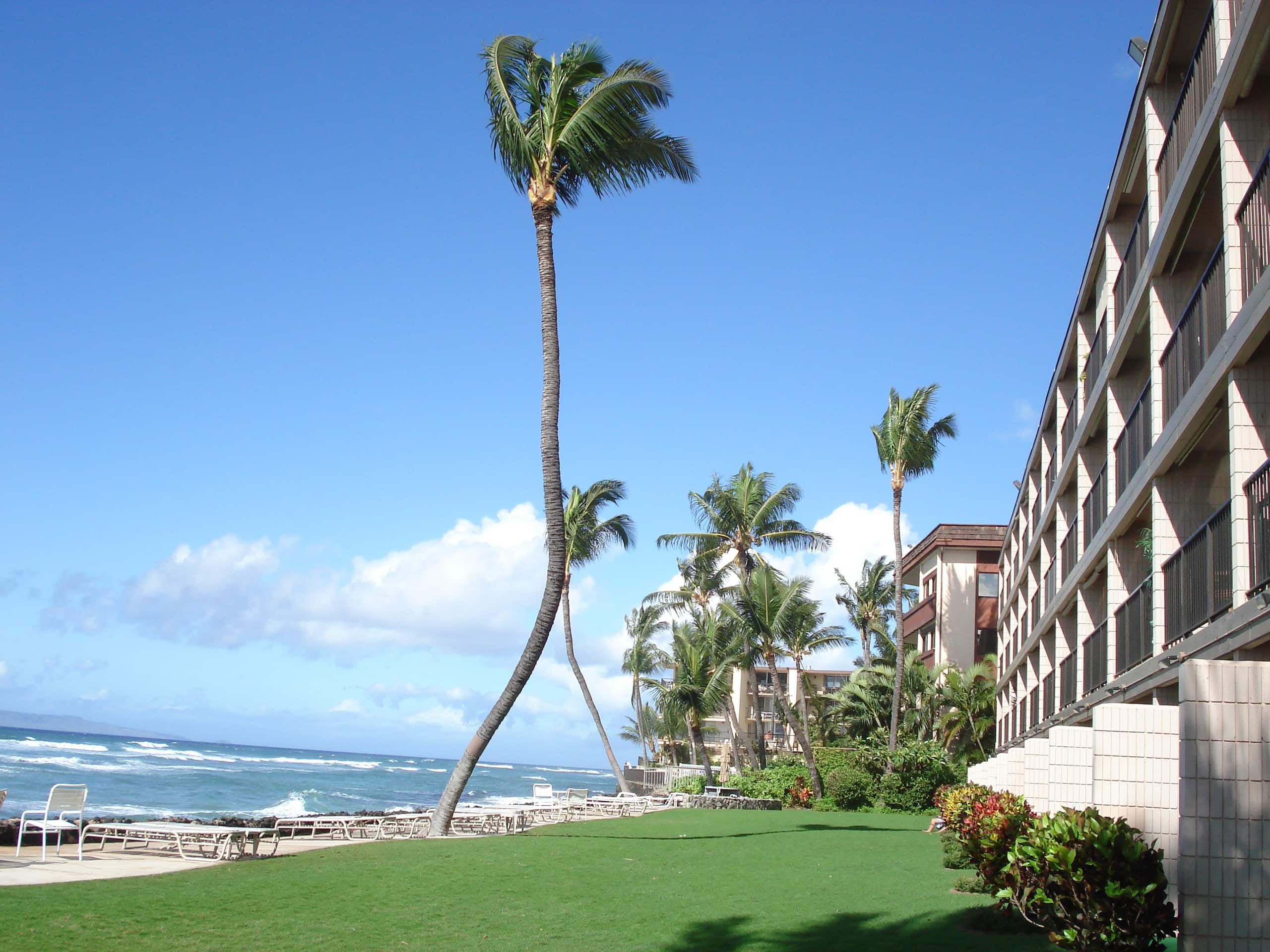 Condo in Lahaina · ★4.85 · 1 bedroom · 1 bed · 1 bath - Image 28