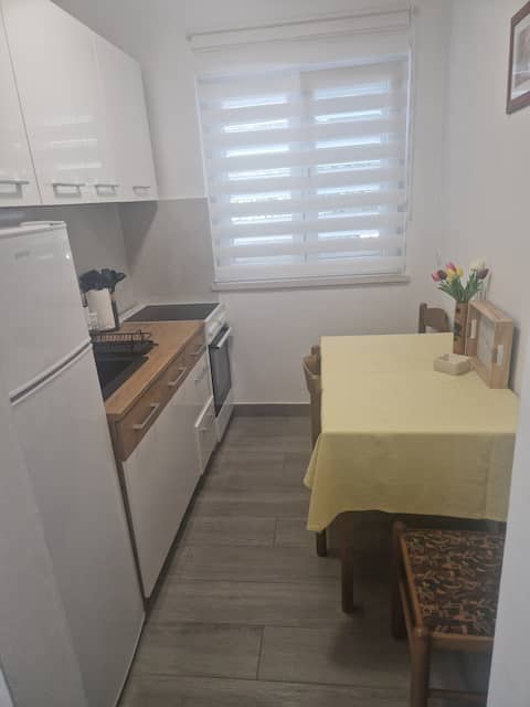 Successful Airbnb property: Apartment Dijana in Općina Orebić